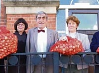 1,100 tulip bulbs for Crediton