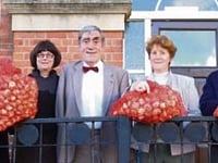 1,100 tulip bulbs for Crediton