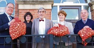 1,100 tulip bulbs for Crediton