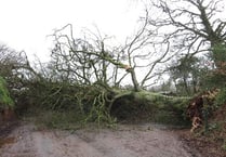When storms caused disruption in the Crediton area