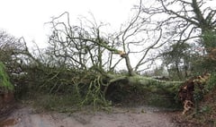 When storms caused disruption in the Crediton area