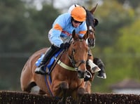 Autumn racing in a glorious setting on Haldon Hill