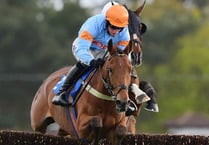 Autumn racing in a glorious setting on Haldon Hill