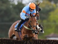 Autumn racing in a glorious setting on Haldon Hill