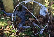 Landowners ask councils to commit to sky lantern ban