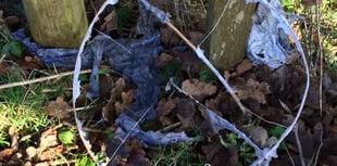 Landowners ask councils to commit to sky lantern ban