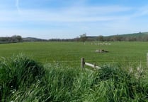 Public urged to help save the Creedy Valley
