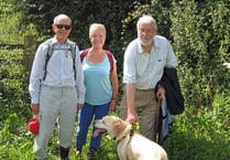 Sponsored walk in aid of Devon Historic Churches Trust