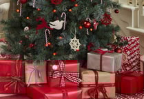 Letter: Crediton woman appeals for empty shoe boxes