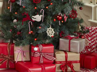 Letter: Crediton woman appeals for empty shoe boxes