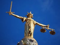 Unlicensed Crediton dog breeder prosecuted