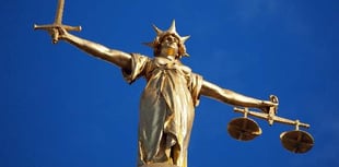Unlicensed Crediton dog breeder prosecuted