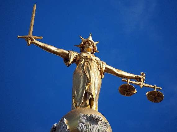 Unlicensed Crediton dog breeder prosecuted