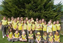 Crediton Brownies help their Brown Owl celebrate her 30 years as a leader
