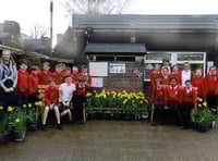Children created a blaze of colour at Hayward's Primary School