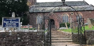 Plant sale at Sandford on Saturday