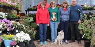 Up to 80 new jobs if Crediton Garden Centre plan is approved 