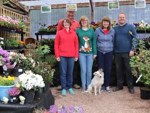 Up to 80 new jobs if Crediton Garden Centre plan is approved 