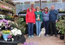 Up to 80 new jobs if Crediton Garden Centre plan is approved 