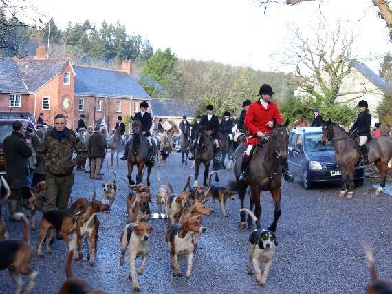 Trail hunting ban consultation begins - have your say
