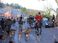 Trail hunting ban consultation begins - have your say

