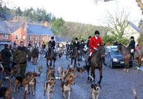 Trail hunting ban consultation begins - have your say