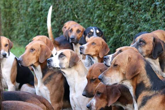 Hunt group issued with police warning