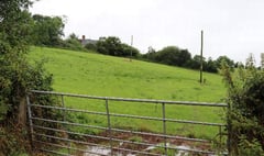 Crediton Hamlets councillors disappointed that 40 homes plan was approved