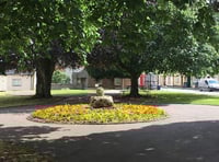 Could you be a local Tree Warden?