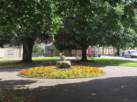 Could you be a local Tree Warden?