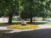 Could you be a local Tree Warden?