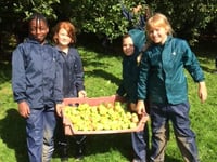 Farms for City Children need your apples!
