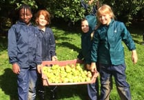 Farms for City Children need your apples!