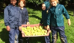 Farms for City Children need your apples!
