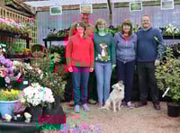 Planning officers recommend approval of Crediton Garden Centre expansion plan