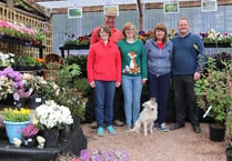 Planning officers recommend approval of Crediton Garden Centre expansion plan