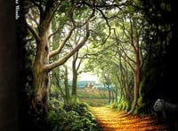 Author draws on local knowledge for novel featuring Exeter woods