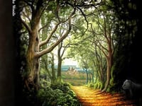 Author draws on local knowledge for novel featuring Exeter woods
