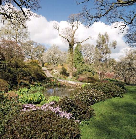 Gardens to open at Sherwood House
