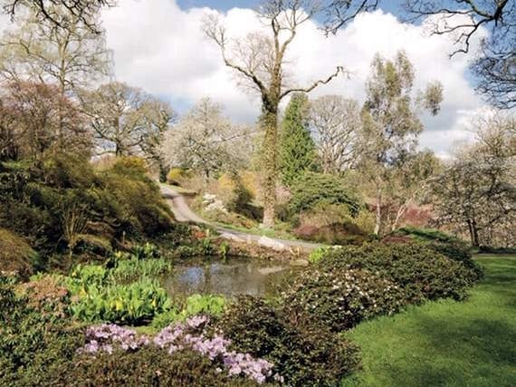 Gardens to open at Sherwood House
