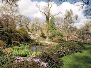 Gardens to open at Sherwood House
