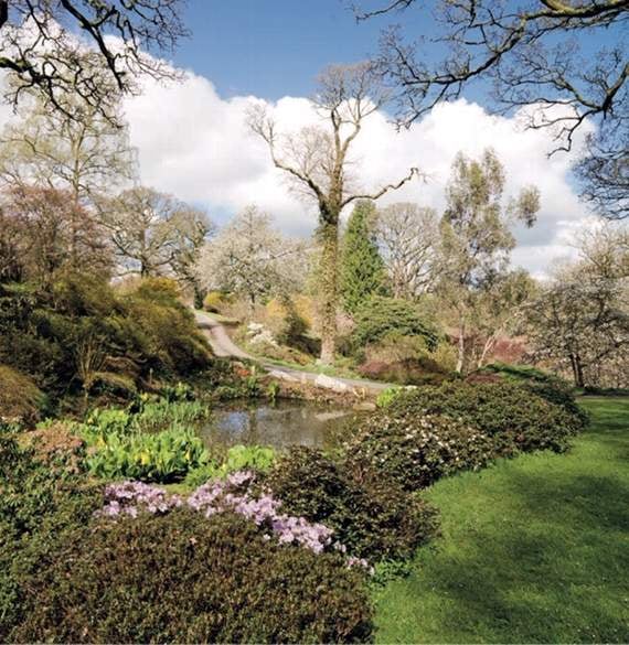 Gardens to open at Sherwood House
