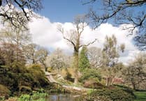 Gardens to open at Sherwood House