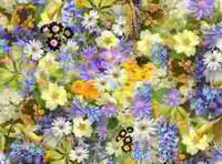 ‘In an English Country Garden’ theme of demonstration for Crediton Flower Club
