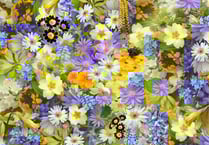 ‘In an English Country Garden’ theme of demonstration for Crediton Flower Club