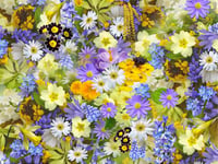 ‘In an English Country Garden’ theme of demonstration for Crediton Flower Club