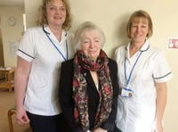 Falls prevention advice was useful for Crediton DSV members