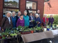 Don’t miss Crediton Garden Club plant sale
