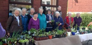 Don’t miss Crediton Garden Club plant sale
