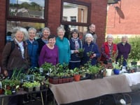 Don’t miss Crediton Garden Club plant sale
